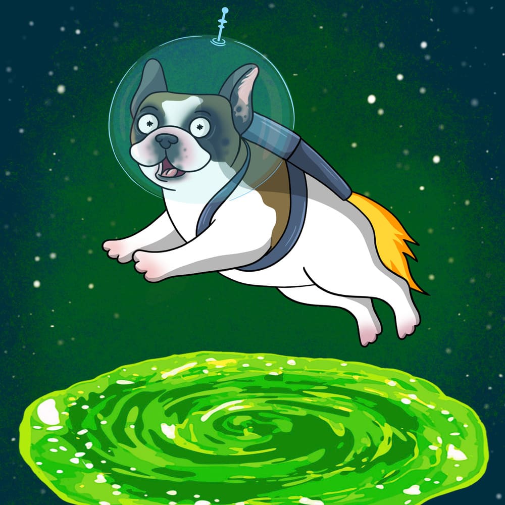 Pet Portrait in Rick and Morty Style