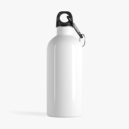Add-on: Stainless Steel Water Bottle